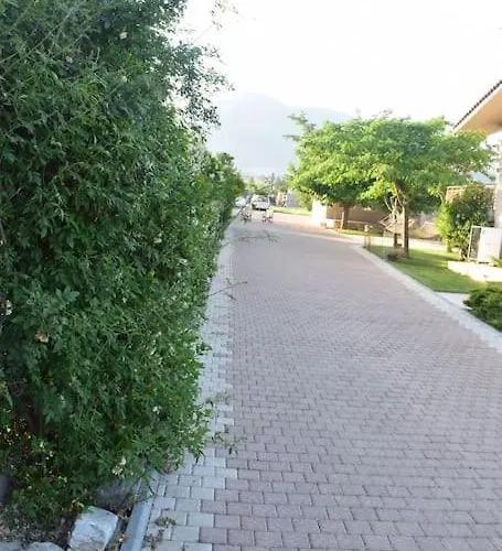 εύη Лигурион